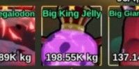 Big King Jelly - FISH IT