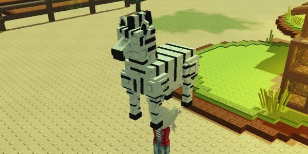 Zebra
