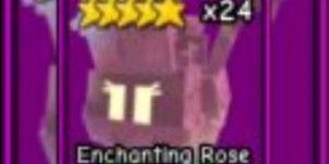Enchanting Rose
