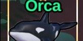 Orca (Fish It)