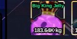 Big King Jelly