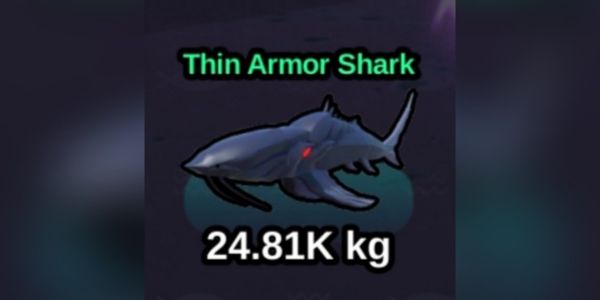 Thin Armor Shark