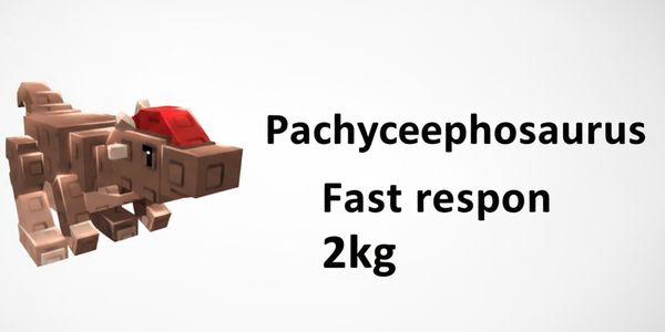 Pachycephalosaurus 2kg