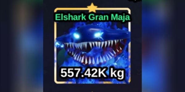 Elshark Gran Maja