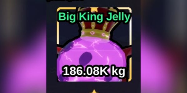 Big King Jelly