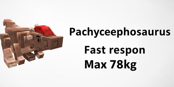 Pachycephalosaurus 78kg