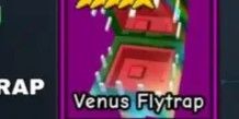 Venus Flytrap Garden Tower Defense