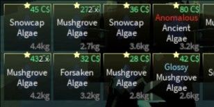 Fullset Item Algae