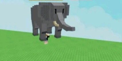 코끼리