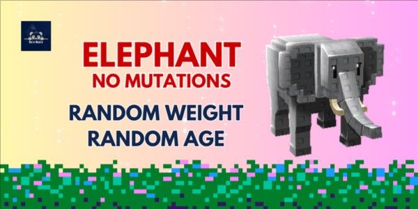 Elephant - Gajah