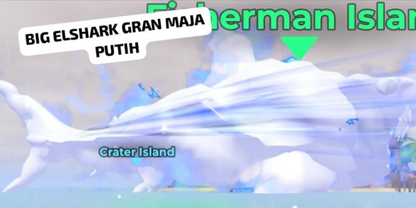 BIG ELSHARK WHITE GRANDMA (610K TON)