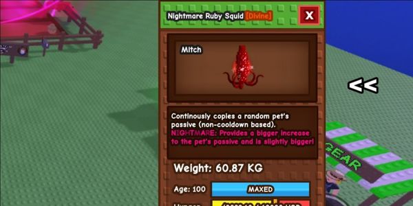 NIGHTMARE RUBY SQUID 60-61KG