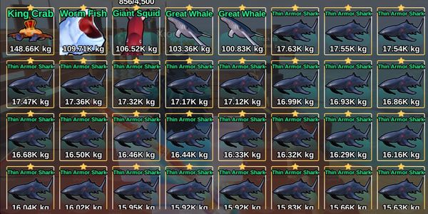 TRANSCENDED STONE VIA SECRET (RANDOM) TUMBAL | FISH IT!
