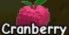 Cranberry