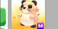 muskrat M