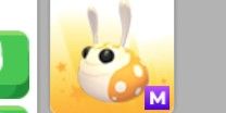 hopbop M