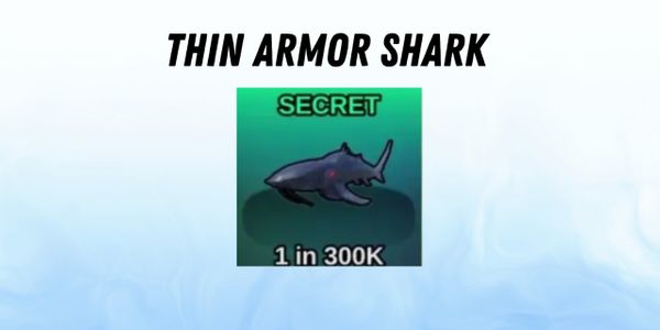 Thin Armor Shark