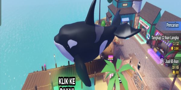Orca