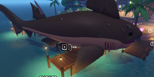 Hybodus Shark