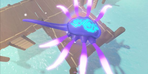 Sacred Guardian Squid