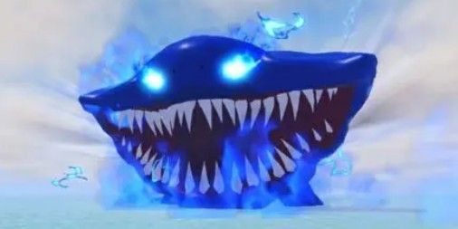 Elshark Gran Maja