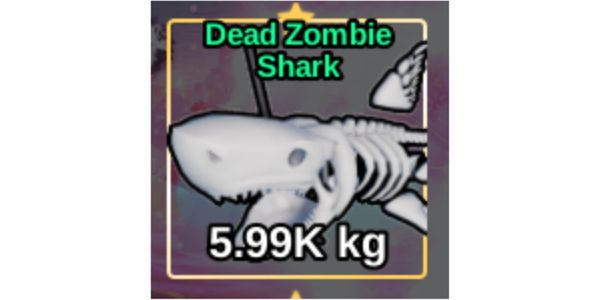 Dead zombie Shark