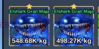 Elshark Gran Maja
