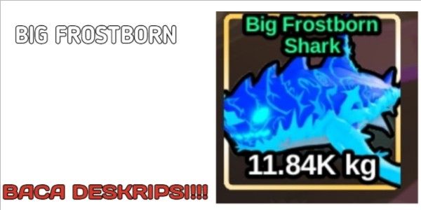 Big Frostborn Shark