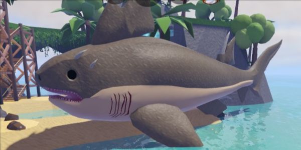 Hybodus Shark