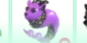 Ride Capricorn