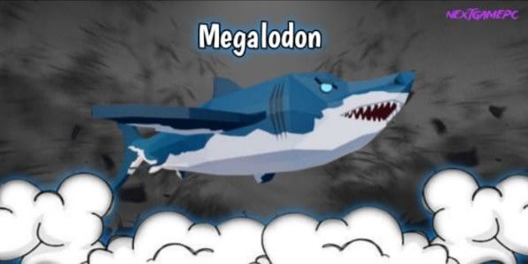Megalodon | Fish