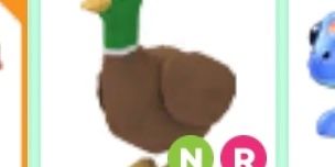 NR Drake