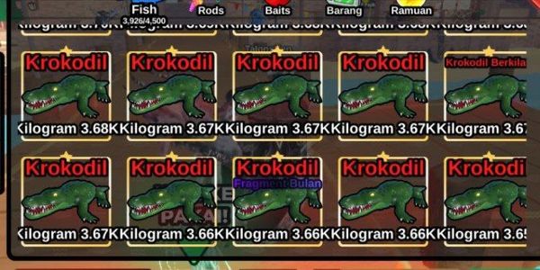 Crocodile