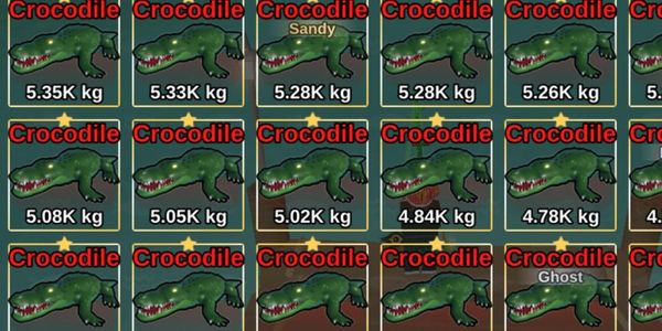 Crocodile