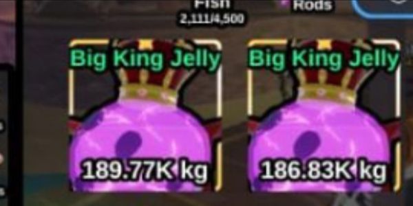 Big Jelly King