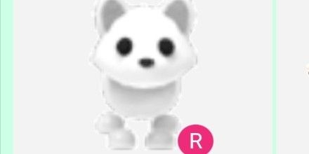 Arctic fox r
