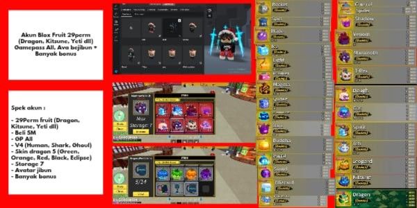 Buy Account Akun Blox Fruit 29perm (Dragon Kitsune Yeti dll) All