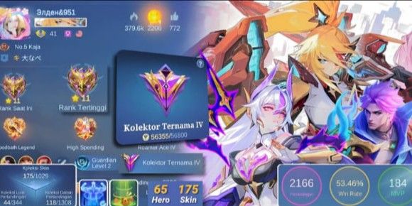 SKIN 175 | ASPIRANT Vexana, LESLEY | 11.11 NOLAN & WANWAN | COLLECTOR YSS #SULTAN #CHEAP