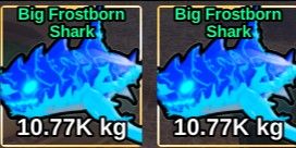 frostborn shark