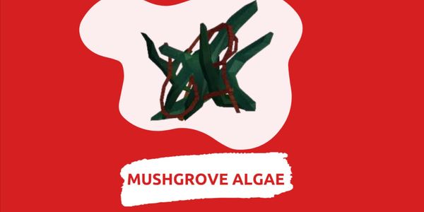Mushgrove Algae