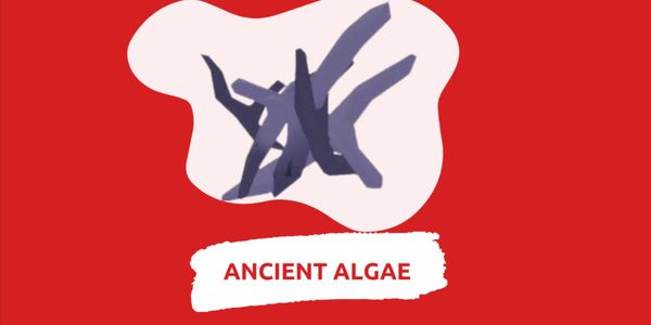 Ancient Algae