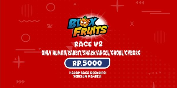 Jasa Race V2