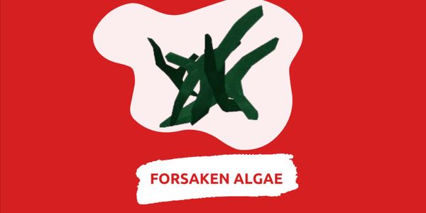 Forsaken Algae