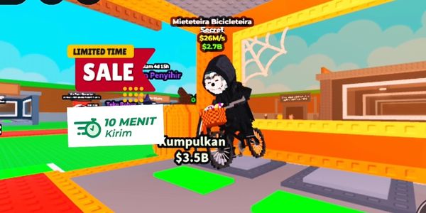 Basic bicycle rental (26m/s)