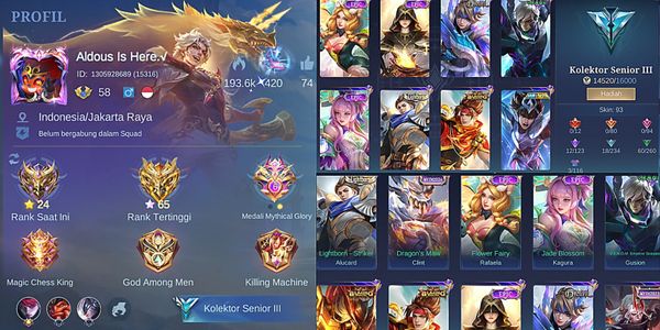 cheap ml account 100% safe