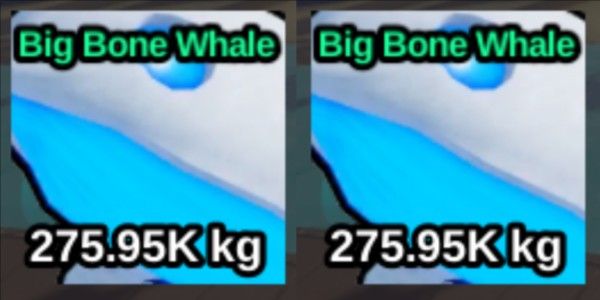 Big Bone Whale