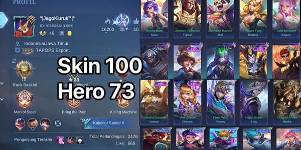 Many epic skin ml accounts are cheap and safe