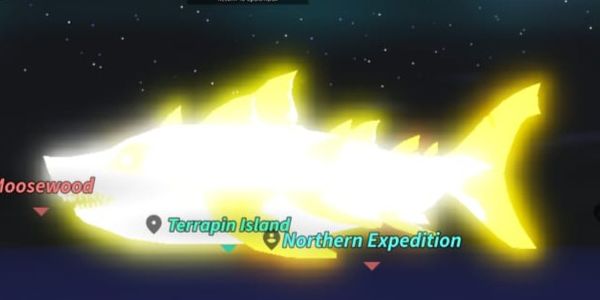 Shiny Sparkling Giant Ancient Megalodon