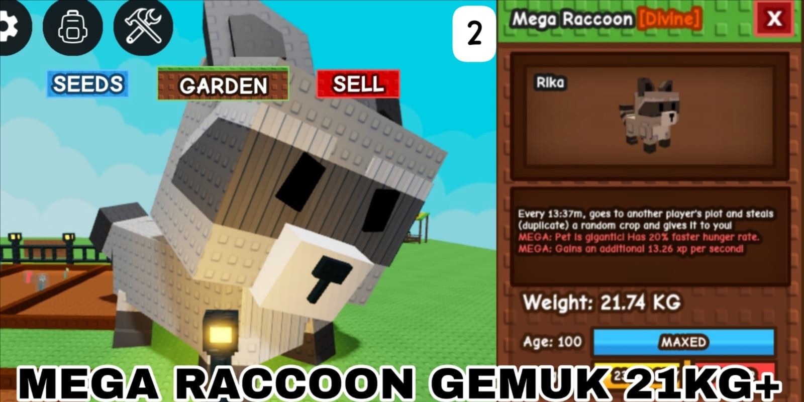 Beli Pets MEGA RACCOON GOOD SIZE / MEGA RACCON / MEGA RACOON / MEGA ...