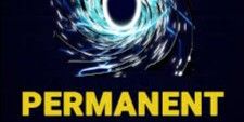 Portal (Permanent)